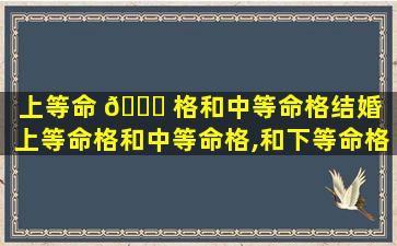 上等命 🐟 格和中等命格结婚（上等命格和中等命格,和下等命格）